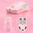 Extra_ICW905P