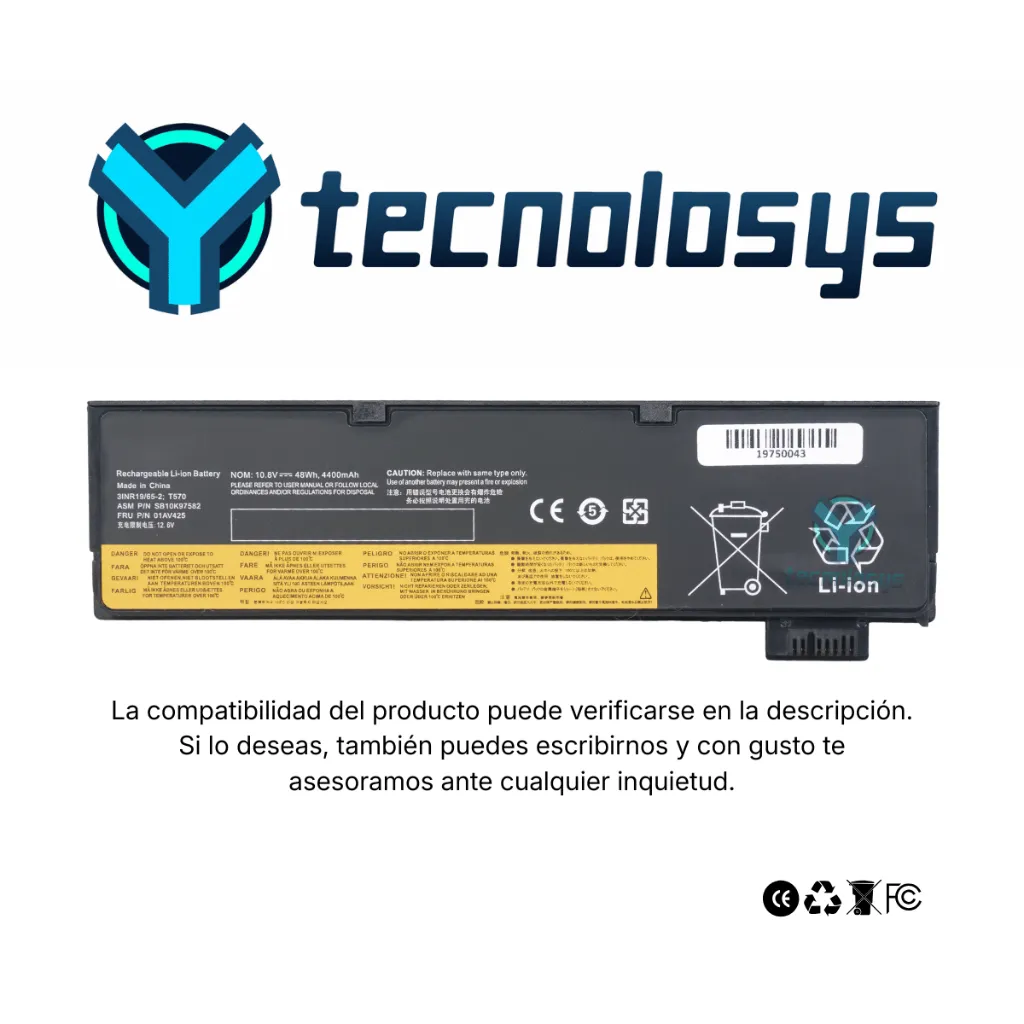 6.webp
