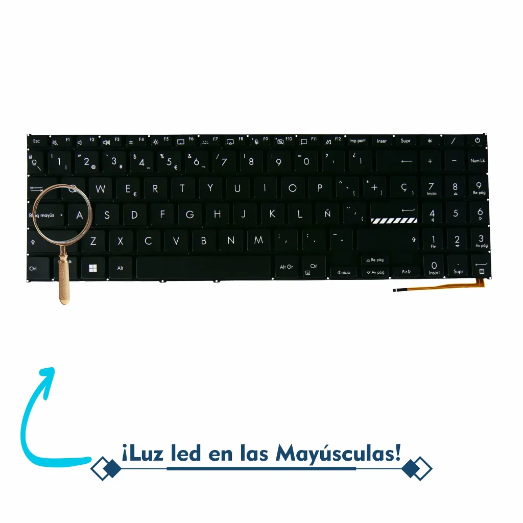Extra_A05348_2.webp