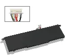 sasa.webp