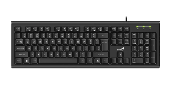 Teclado Genius Smart KB-113 USB Negro